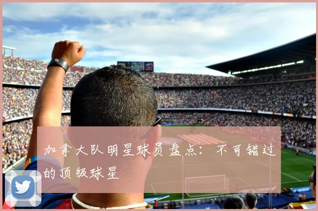 加拿大队明星球员盘点：不可错过的顶级球星