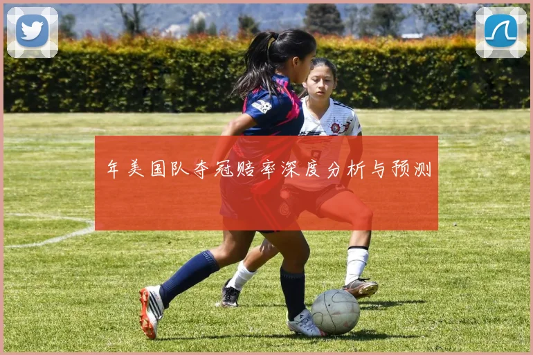 年美国队夺冠赔率深度分析与预测