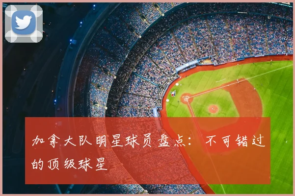 加拿大队明星球员盘点:不可错过的顶级球星